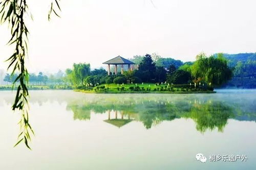 送土雞9月19號(hào)周二 靈谷冬,龍背山,華東百暢生態(tài)園,包門票,包中餐,包無(wú)購(gòu)物,再送鮮活土雞 旅游 網(wǎng)