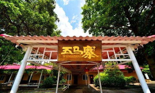 九龍?zhí)渡鷳B(tài)園 廣東食用菌主題樂(lè)園，品湯賞景的休憩驛站