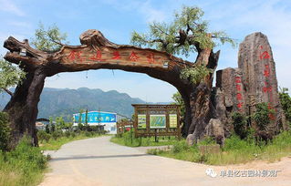 九龍?zhí)渡鷳B(tài)園大門(mén)景觀(guān)的獨(dú)特魅力