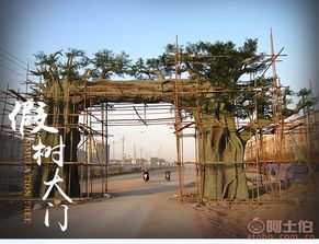 熱賣(mài)促銷(xiāo) 單縣永彬園林景觀(guān)廠(chǎng)攜手阿土伯網(wǎng)打造九龍?zhí)渡鷳B(tài)園景觀(guān)新體驗(yàn)